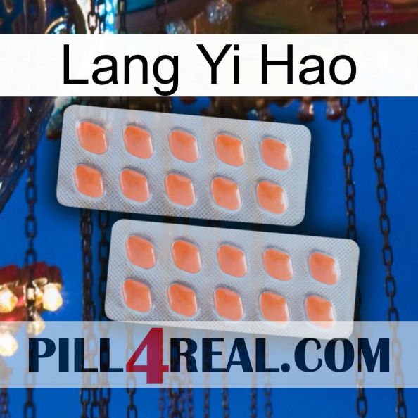 Lang Yi Hao 27.jpg